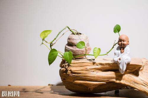 【养生堂】抗癌?排毒?揭秘几大神仙食物营养真相